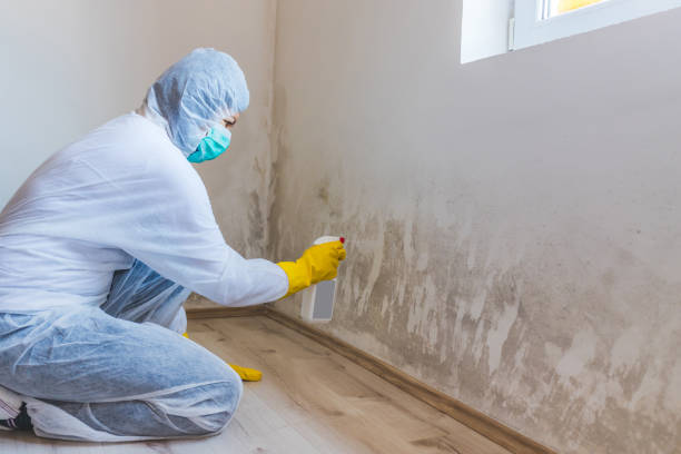 Licensed Commercial Mold Remediation service in Aquasco, MD - WQB Mold Removal