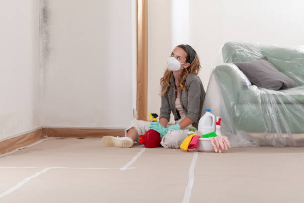 Reliable Commercial Mold Remediation contractor in Aquasco, MD by WQB Mold Removal